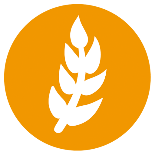 Cereales que contienen gluten